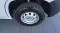 Fiat Ducato 30 2.2 Mjt 140CV PC-TN Panorama Wit - thumbnail 12