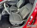 Ford Focus Turnier ST-Line Automatik Allwetter el.Heckklappe Rouge - thumbnail 13