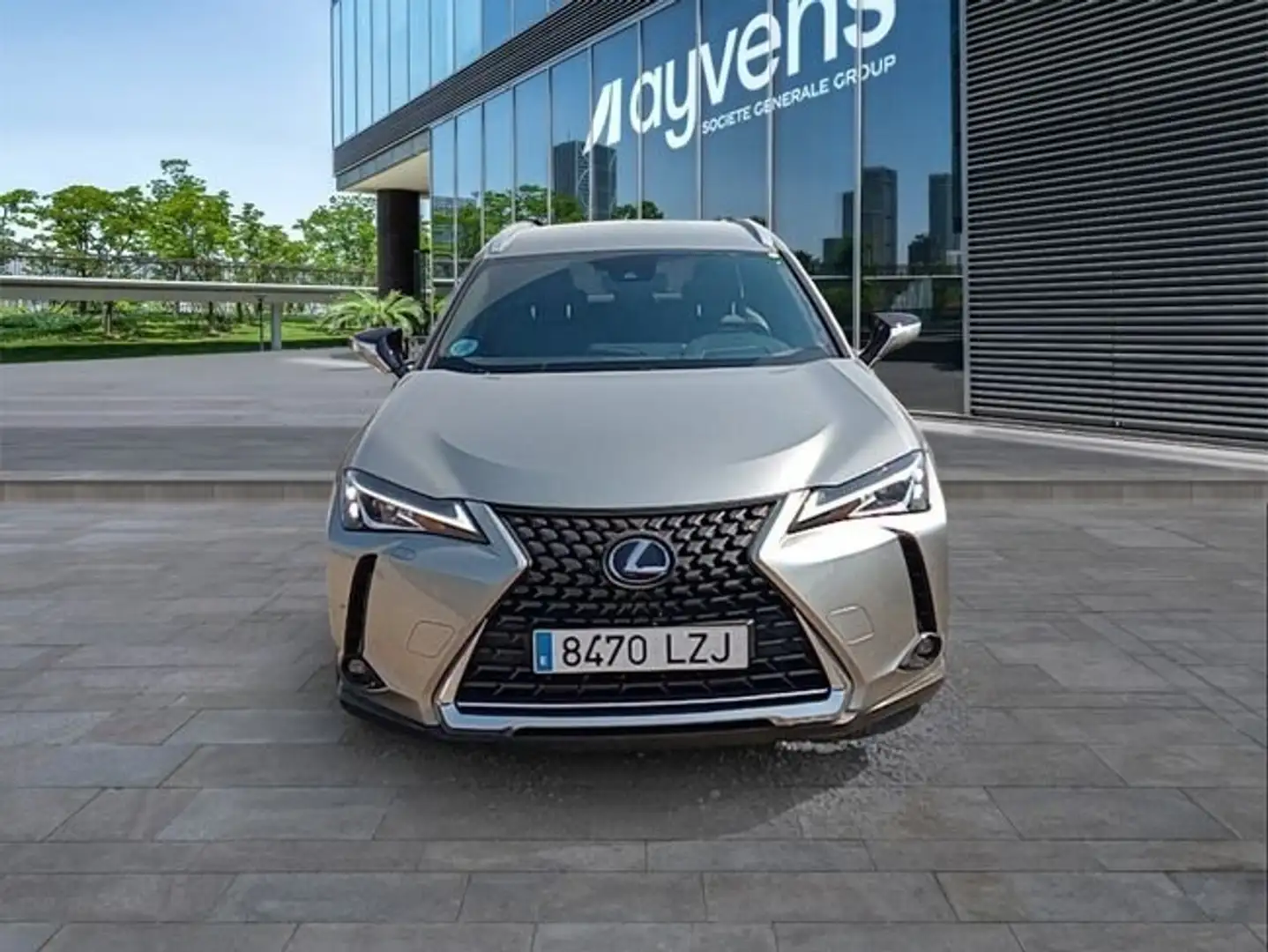 Lexus UX 250h 2.0 Business Blanco - 2