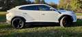 Lamborghini Urus URUS 4.0 V8 phev SE 2025 Bianco - thumbnail 2