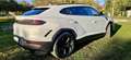 Lamborghini Urus URUS 4.0 V8 phev SE 2025 Bianco - thumbnail 3