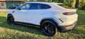 Lamborghini Urus URUS 4.0 V8 phev SE 2025 Bianco - thumbnail 9