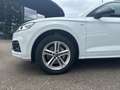 Audi Q5 50 TFSIe quattro sport Hybrid Sportpaket AD AHK-kl Weiß - thumbnail 4