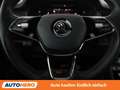 Skoda Kodiaq 2.0 BiTDI RS 4x4 Schwarz - thumbnail 19