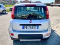 Fiat Panda 1.3 mjt 16v 4x4 - Euro 6 Argento - thumbnail 5