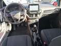 Ford Fiesta 1.1 85ch Trend Business Nav 5p Euro6.2 Weiß - thumbnail 17