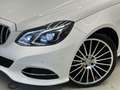 Mercedes-Benz E 220 Edition E BlueTec Aut. / AMG-LINE / SITZH. / Wit - thumbnail 5