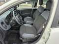 Fiat Panda 1.2 EasyPower Lounge no vincoli Weiß - thumbnail 4