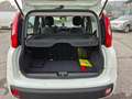 Fiat Panda 1.2 EasyPower Lounge no vincoli Weiß - thumbnail 5