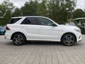 Mercedes-Benz GLE 350 d 4M AMG Line G-Tronic Night Optik Pano Weiß - thumbnail 6