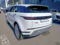 Land Rover Range Rover Evoque Range Rover Evoque 2.0 D I4 MHEV 150cv S AWD Auto Blanc - thumbnail 6