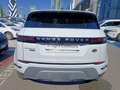 Land Rover Range Rover Evoque Range Rover Evoque 2.0 D I4 MHEV 150cv S AWD Auto Blanc - thumbnail 5