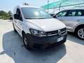 Volkswagen Caddy 2.0 TDI 110cv 4MOTION 4x4 - targa FF863JE Bianco - thumbnail 7