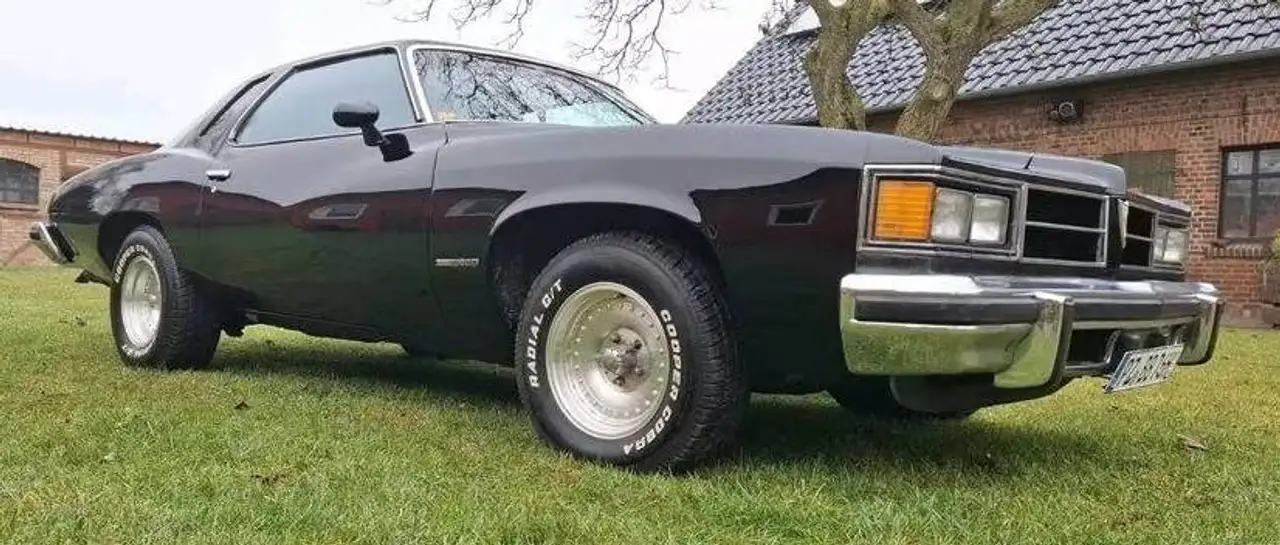 Pontiac Le Mans Sport Coupe, foto 10