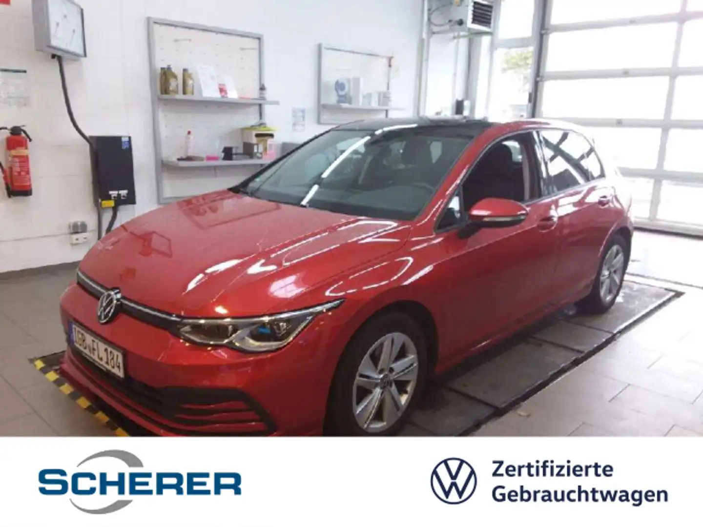 Volkswagen Golf VIII 1.0 TSI, NAVI, MATRIX, SHZ, PANO, RFK, Rot - 1