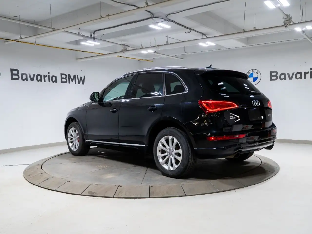 Audi Q5 fotografie Audi Q5
