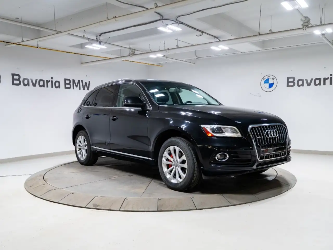 Audi Q5 fotografie Audi Q5