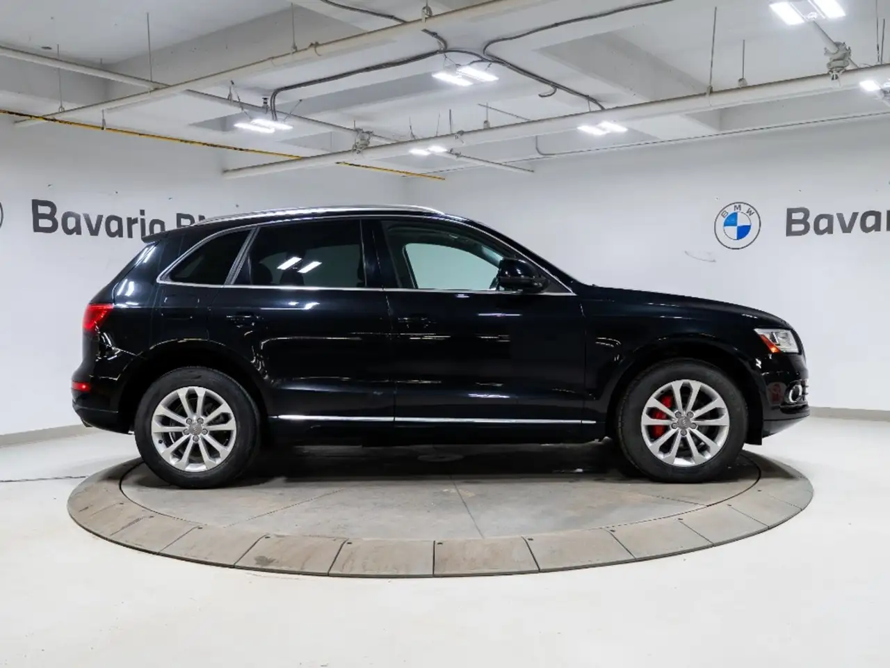 Audi Q5 fotografie Audi Q5