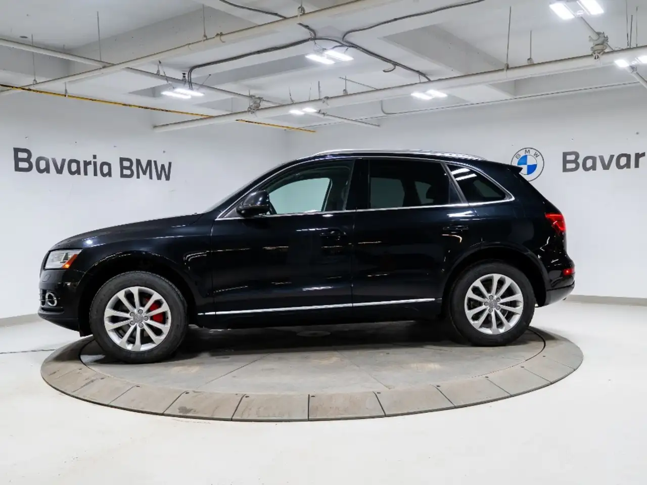 Audi Q5 fotografie Audi Q5