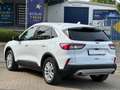 Ford Kuga 2.0 EcoBlue*Titanium*Kamera*Navi*Parkpilot* Weiß - thumbnail 3