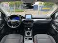 Ford Kuga 2.0 EcoBlue*Titanium*Kamera*Navi*Parkpilot* Weiß - thumbnail 12