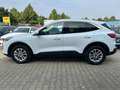 Ford Kuga 2.0 EcoBlue*Titanium*Kamera*Navi*Parkpilot* Weiß - thumbnail 2
