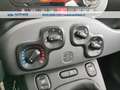 Fiat Panda 1.0 hybrid City Life s&s 70cv 5p.ti Bleu - thumbnail 13