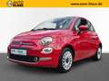 Fiat 500 1.0 DolceVita CarPlay Pano Temp Klima PDC Rot - thumbnail 1