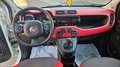 Fiat Panda 1.2 Lounge 69cv 5 POSTI-NEOPATENTATI Weiß - thumbnail 12