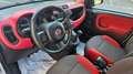 Fiat Panda 1.2 Lounge 69cv 5 POSTI-NEOPATENTATI Weiß - thumbnail 8