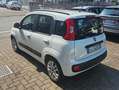 Fiat Panda 1.2 Lounge 69cv 5 POSTI-NEOPATENTATI Weiß - thumbnail 5