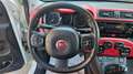 Fiat Panda 1.2 Lounge 69cv 5 POSTI-NEOPATENTATI Weiß - thumbnail 13