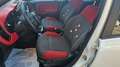Fiat Panda 1.2 Lounge 69cv 5 POSTI-NEOPATENTATI Weiß - thumbnail 7