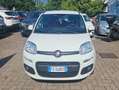 Fiat Panda 1.2 Lounge 69cv 5 POSTI-NEOPATENTATI Weiß - thumbnail 3