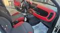 Fiat Panda 1.2 Lounge 69cv 5 POSTI-NEOPATENTATI Weiß - thumbnail 10