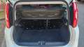 Fiat Panda 1.2 Lounge 69cv 5 POSTI-NEOPATENTATI Weiß - thumbnail 15