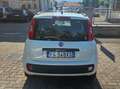Fiat Panda 1.2 Lounge 69cv 5 POSTI-NEOPATENTATI Weiß - thumbnail 6