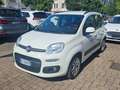 Fiat Panda 1.2 Lounge 69cv 5 POSTI-NEOPATENTATI Weiß - thumbnail 2