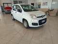 Fiat Panda Panda III 2016 1.2 Easy easypower Gpl 69cv my19 Weiß - thumbnail 2