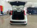 Fiat Panda Panda III 2016 1.2 Easy easypower Gpl 69cv my19 Weiß - thumbnail 15