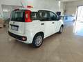 Fiat Panda Panda III 2016 1.2 Easy easypower Gpl 69cv my19 Weiß - thumbnail 14