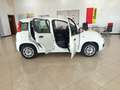 Fiat Panda Panda III 2016 1.2 Easy easypower Gpl 69cv my19 Weiß - thumbnail 5