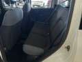 Fiat Panda Panda III 2016 1.2 Easy easypower Gpl 69cv my19 Weiß - thumbnail 10