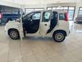 Fiat Panda Panda III 2016 1.2 Easy easypower Gpl 69cv my19 Weiß - thumbnail 6