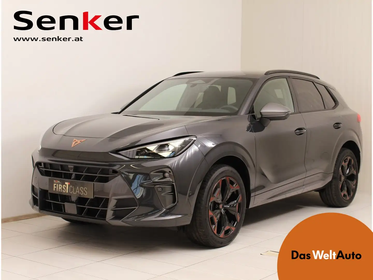 CUPRA Terramar 1.5 e-TSI 150 PS DSG Grau - 1