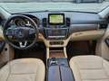 Mercedes-Benz GLE 250 d 204cv Exclusive Plus 4Matic*Pelle*Navi*Tetto*21* Noir - thumbnail 13