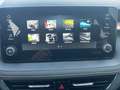 Skoda Fabia 1.0 TSI Selection LED LICHT+KLIMAAUT+KAMERA+SITZH Blau - thumbnail 10