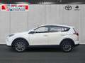 Toyota RAV 4 2.5 Hybrid Executive 4X4 Memory,360 Grad Kamera, E Wit - thumbnail 3