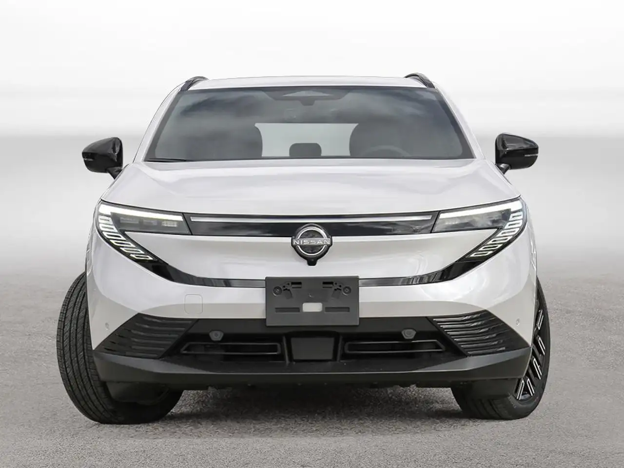 Nissan Leaf снимка Nissan Leaf