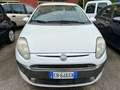 Fiat Punto Evo 1.3 95 cv Diesel/Mjet Dynamik Weiß - thumbnail 1